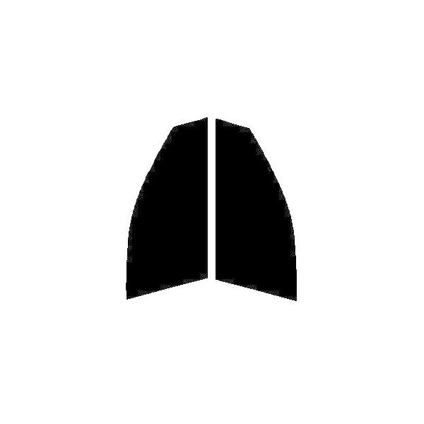 GHOST2 NEO(�S�[�X�g2 �l�I) �I�[����79�@�^�]�ȁA����ȁ@�����[�m Z50�EPNZ50�EPZ50 �J�b�g�ς݃t�B����