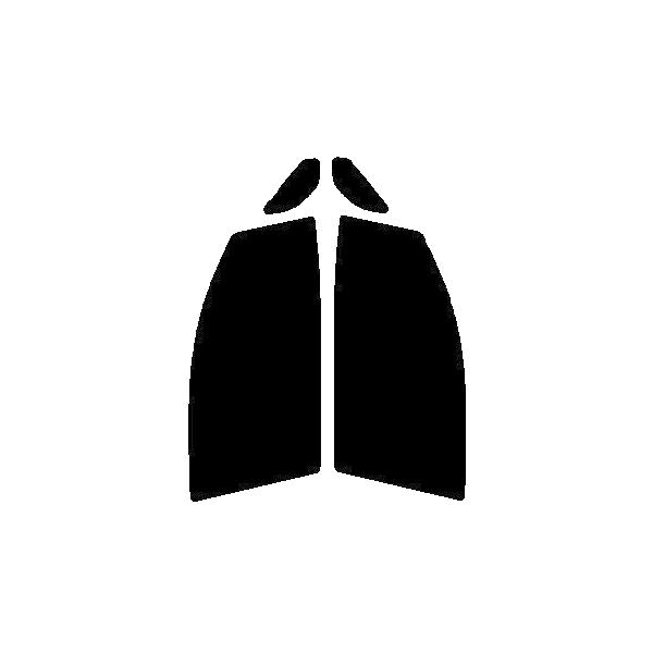 GHOST2 NEO(S[Xg2 lI) I[79@^]ȁAȃjbT@fCY@B21WJbgς݃tB