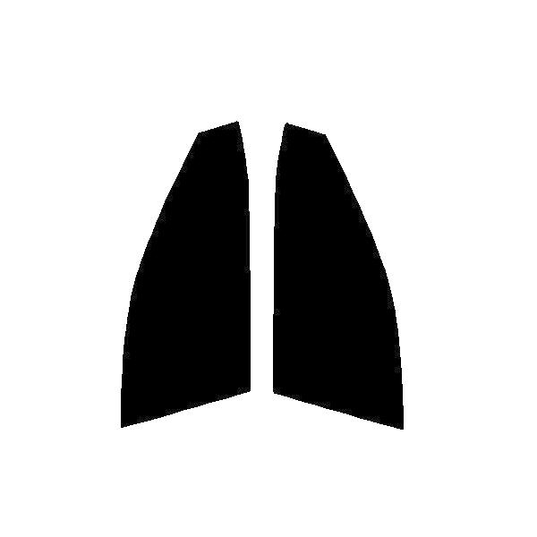 GHOST2 NEO(S[Xg2 lI) I[79@^]ȁAȁ@J nCubh AXVH70 Jbgς݃tB