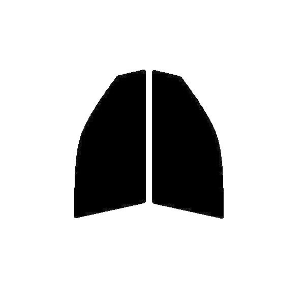 GHOST2 NEO(S[Xg2 lI) I[79@^]ȁAȁ@g^ hN[U[vh@J150W Jbgς݃tB
