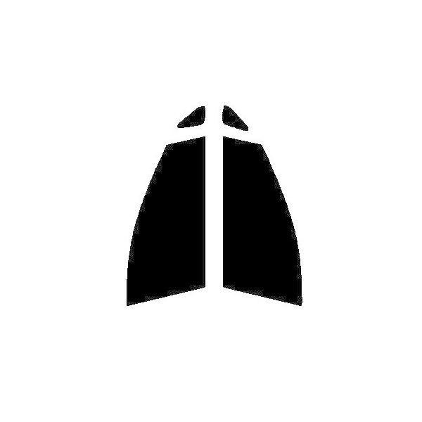 GHOST2 NEO(�S�[�X�g2 �l�I) �I�[����79�@�^�]�ȁA����ȁ@�g���^ �v���E�X NHW20 �J�b�g�ς݃t�B����