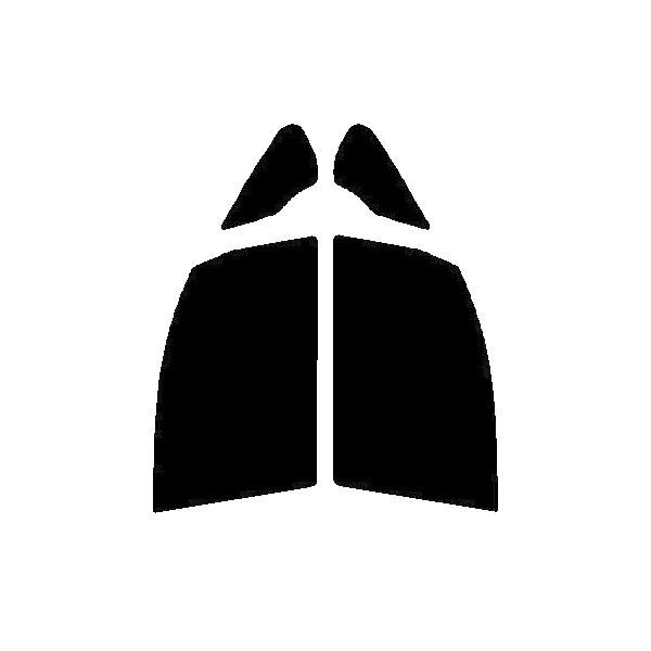 GHOST2 NEO(S[Xg2 lI) I[79@^]ȁAȁ@g^@mA ZRR80GEZRR80WEZRR85GEZRR85WEZWR80G Jbgς݃tB