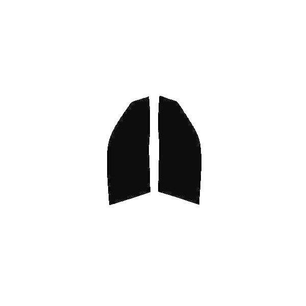 GHOST2 NEO(�S�[�X�g2 �l�I) �I�[����79�@�^�]�ȁA����ȁ@�g���^ �X�^�[���b�g 3�h�A EP91�EEP95�ENP90 �J�b�g�ς݃t�B����