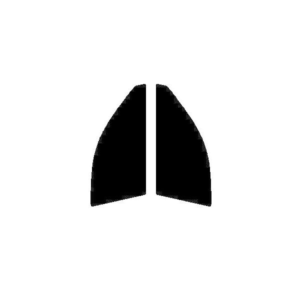 GHOST2 NEO(S[Xg2 lI) I[79@^]ȁAȁ@J[ tB[_[ E16# Jbgς݃tB