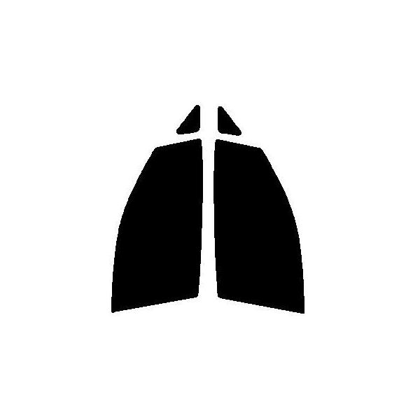 fMNA[@^]ȁAȗp@jbT@GOh E52@Jbgς݃tB