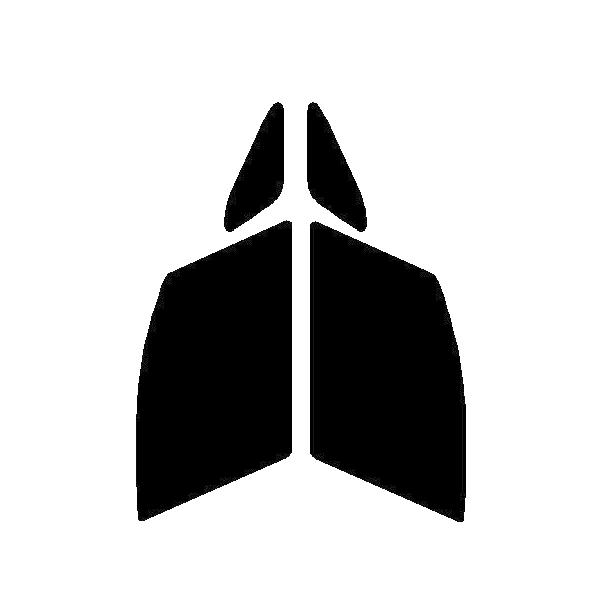 Xpb^Vo[@^]ȁEȁ@BMW@2V[Y@ANeBucA[ F45@Jbgς݃J[tB@n[hR[g@s