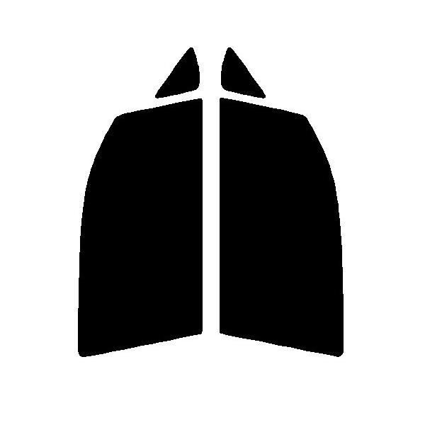 Xpb^Vo[@^]ȁEȁ@_Cnc@[ LA150SELA160S@Jbgς݃J[tB@n[hR[g@s