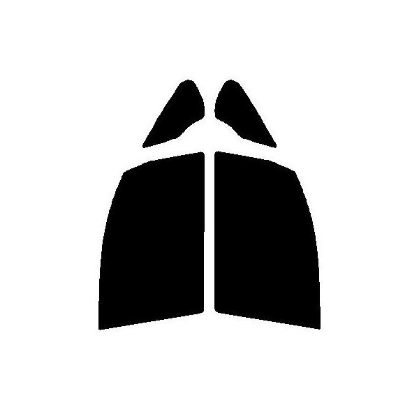 Xpb^Vo[@^]ȁEȁ@g^@GXN@CA@ZRR80GEZRR85GEZWR80G@Jbgς݃J[tB@n[hR[g@s