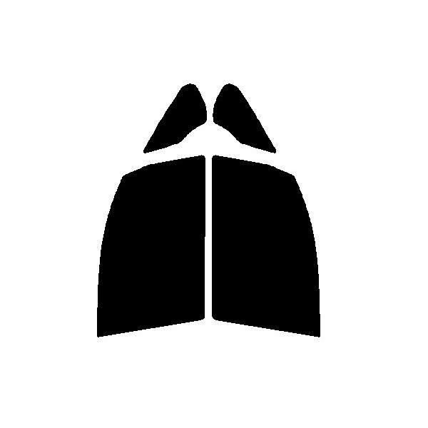 fMNA[@^]ȁAȁ@g^@GXN@CA@ZRR80GEZRR85GEZWR80G@Jbgς݃tB