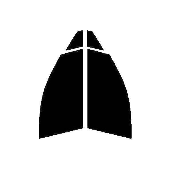 fMNA[@^]ȁAȁ@g^@nA [@A80EA85 @Jbgς݃tB