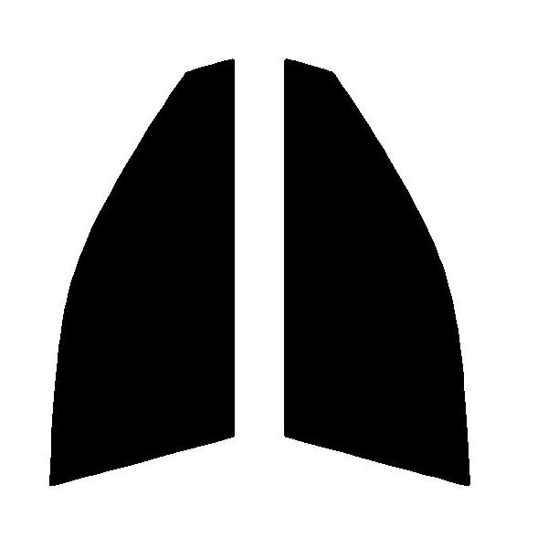 fMNA[@^]ȁAȗp@NTX GS ARL10EGRL16EGRL12EGRL11EGRL10@Jbgς݃tB