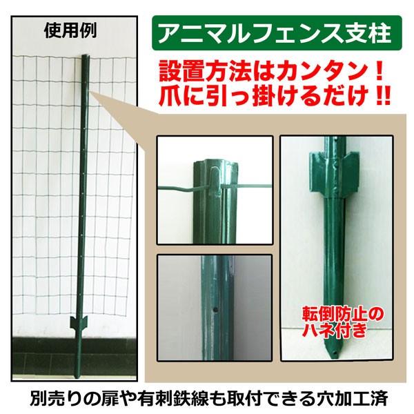 フェンス支柱 11本セット 2400mm 2.0m用 アニマルフェンス 支柱のみ ドッグラン 防獣柵 害獣フェンス 園芸用柵 :s-anifen-p20:HOMEOWN - 通販 - Yahoo!ショッピング フェンス支柱 11本セット 2400mm 2.0m用 アニマルフェンス 支柱のみ ドッグラン 防獣柵 害獣フェンス 園芸用柵 :s-anifen-p20:HOMEOWN - 通販 - Yahoo!ショッピング