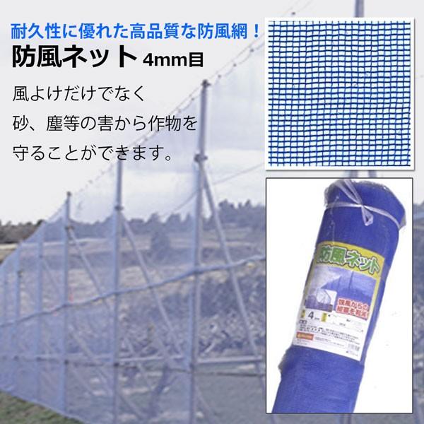 防風ネット 4ｍｍ目 0 5m 50m 2本 ブルー 農業資材 園芸 家庭菜園 強風 風雪 対策 法人宛基本送料無料 S Bhu4 0550 2p Homeown 通販 Yahoo ショッピング