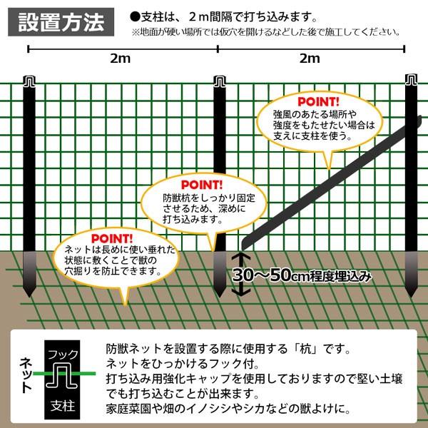 シンセイ 防獣杭 F25x2100mm 25本 害獣よけ 野菜 家庭菜園 イノシシ対策 S Boju 2521s25 Homeown 通販 Yahoo ショッピング