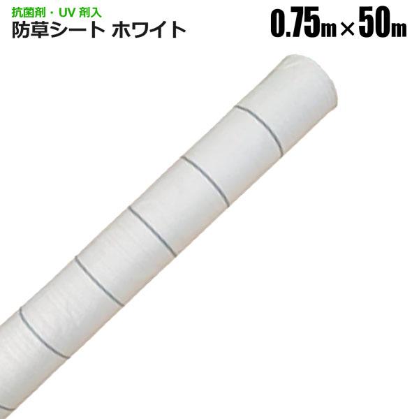 防草シート 0.75m×50m ホワイト 抗菌剤 UV剤入り 反射シート 草除けシート 雑草防止シート 草おさえ 草よけシート シンセイメーカー直送
