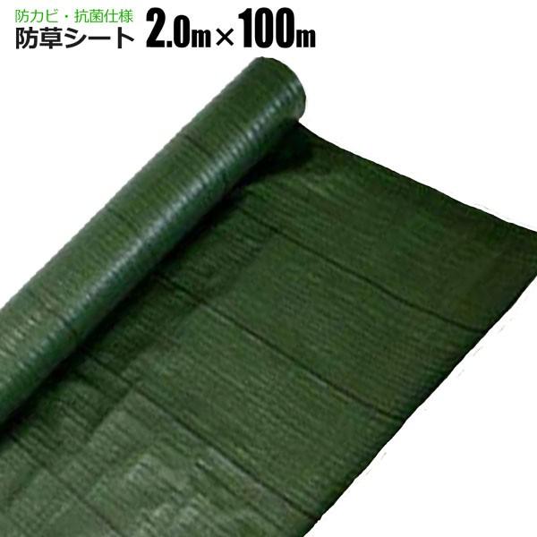 hV[g 2m×100m  R V[g Gh~V[g  悯V[g VZC[J[