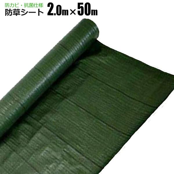 hV[g 2m×50m  R V[g Gh~V[g  悯V[g VZC[J[