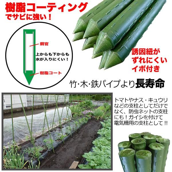 シンセイ 樹脂コート園芸支柱 F8x1 5m 100本 国産品 完全防水 農業資材 高品質 送料無料