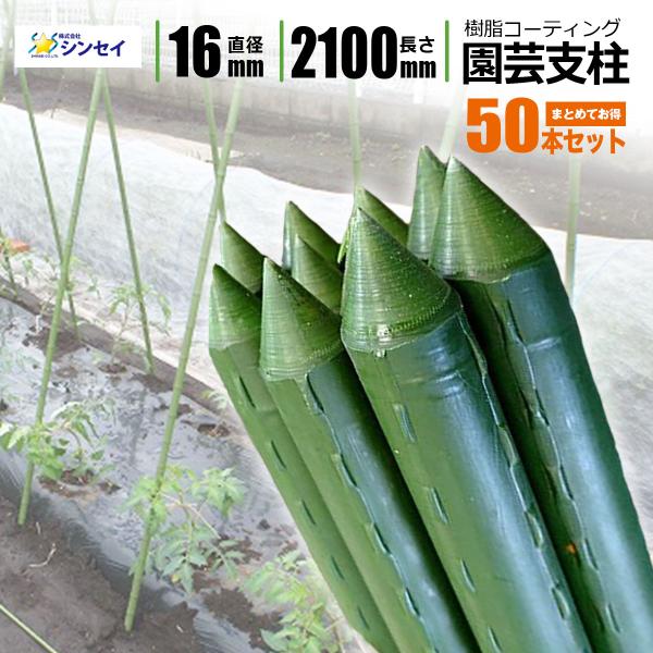 園芸支柱 Φ16ｍｍ×2100ｍｍ 50本 農業資材 家庭菜園 園芸用支柱 農業用支柱 ガーデニング トマト イボ竹 園芸用支柱  法人限定発送 メーカー直送
