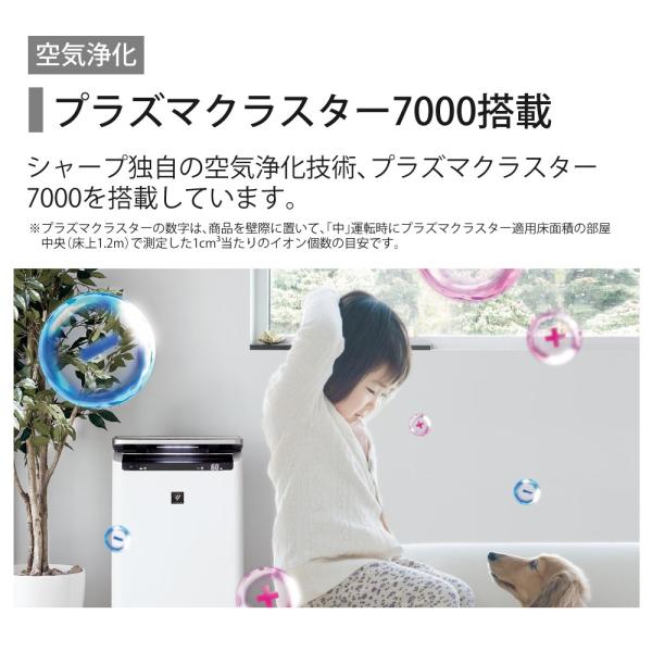 homeshop_0899-sha-0051_3_d_20260608130705