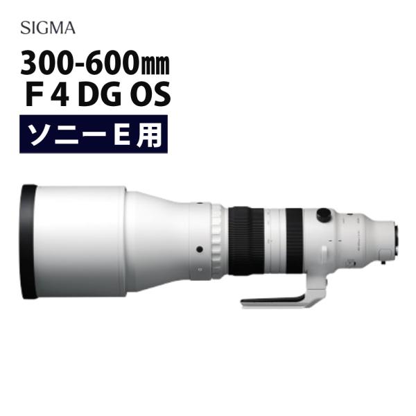 homeshop_3404-sig-0010