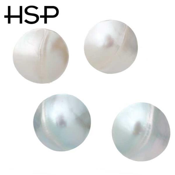 sAX  T[WJXeX EhI[VF@XeX sAXi1yAj  fB[X Y  AM[ AM[ Ή