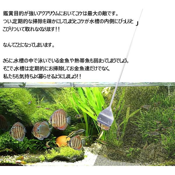 スクレーパー 水槽 プロレイザー苔 コケ 取り 掃除 除草 除去 約66ｃｍ 替え刃付 10枚付きクリーニング ケア セット アクアリウム ガラス面掃除 熱帯 Buyee Buyee Japanischer Proxy Service Kaufen Sie Aus Japan