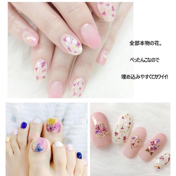 押し花 レースドライフラワー 大人気 ネイル 本物の押し花 ネイルアート ドライフラワー上質押し花６０枚入り１２色 各５枚透明収納ケース Buyee Buyee Jasa Perwakilan Pembelian Barang Online Di Jepang