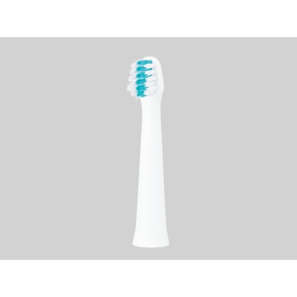 �X�����p���W�ɍזуu���V �� 2�{�� �p�i�\�j�b�N EW0971-W