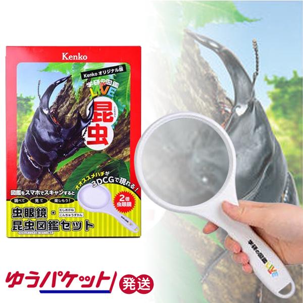 ዾE} PR[IWi PR[EgLi[ 䂤pPbg