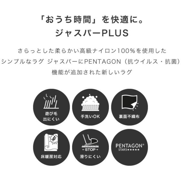 ポイント15倍 ラグ 無地 シャギー 国産ナイロンラグ シャギー ジャスパー 352 352cm シンプル 江戸間8帖 江戸間8帖 プレーベル ラグ カーペット 手洗い シンプル ラグ 58 072 272 家具のホンダ 2号店