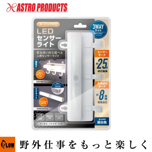honda-walk_4580399757458