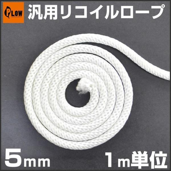 ėpp[c RC[v 5.0mm 1mP RCX^[^[[v