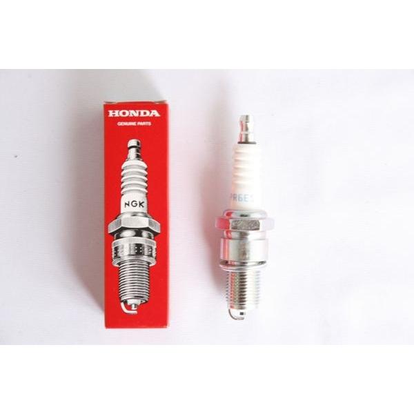 �z���_�k�^�@ �X�p�[�N�v���OBPR4ES