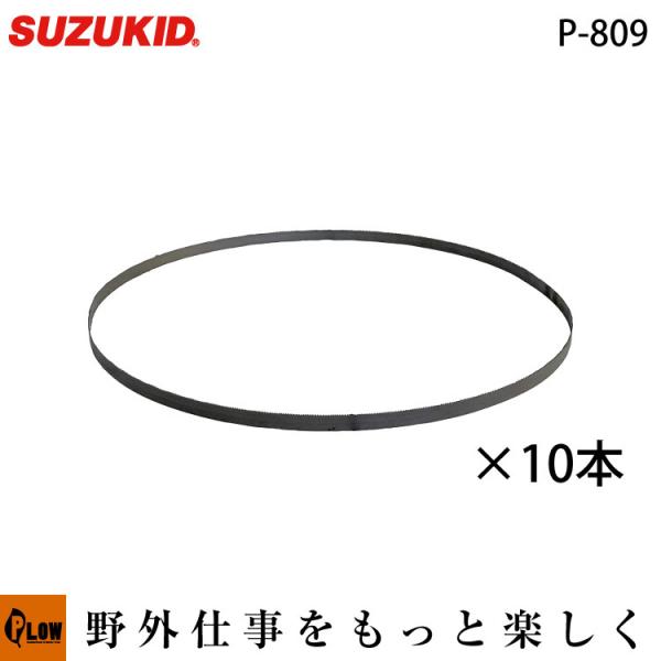 EDGH HOPPER(�G�b�W�z�b�p�[)��p �֐n(10�{����) P-809 �X�Y �L�b�h SUZUKID