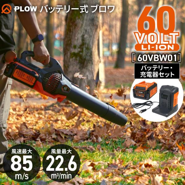 決まりました ⭐️ブロワー 強力　充電式 1台2役　3000mAhバッテリー2個つき！大風量　吹き飛ばし・集塵機能 風量調整 無断変速　急速充電器付き　日本語取扱説明書付き　ブルー Amazon.co.jp: ブロワー 充電式 ブロアー 【1台2役 24V 3000mAh