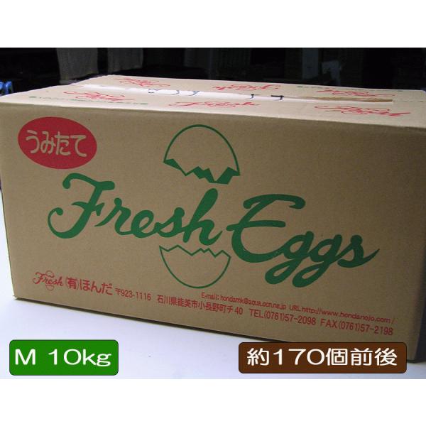 yz ܂ yMTCY  10kgz1 170O N[  ʎq  ڋʏĂ GbO egg