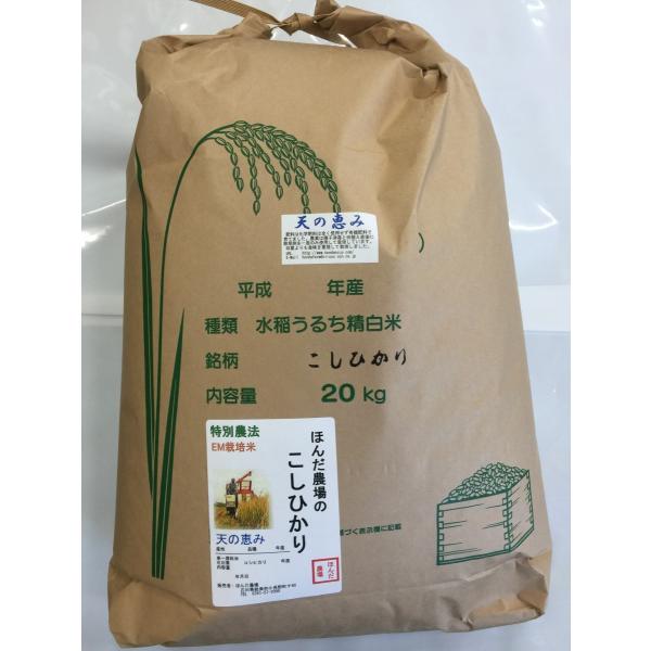  ߘa7NY V  R_@ĂЂuV̌b݁v20kg