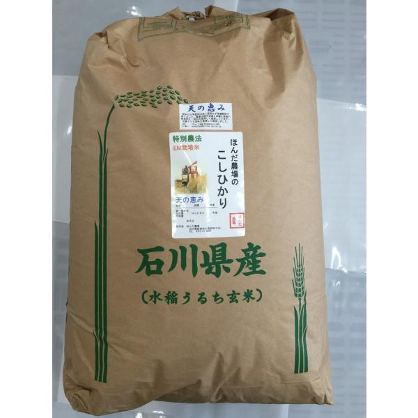  ߘa7NY V  R_@ĂЂuV̌b݁v30kg