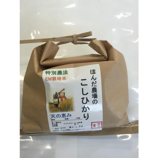  ߘa7NY V  R_@ ЂuV̌b݁v 2kg