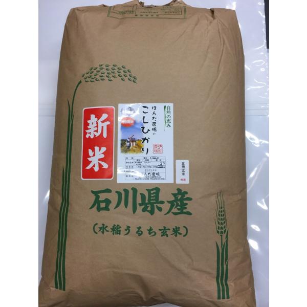 ߘa7NY V R_@ ʍ͔| Ђ Hp  30kg    uŘb݁v  S