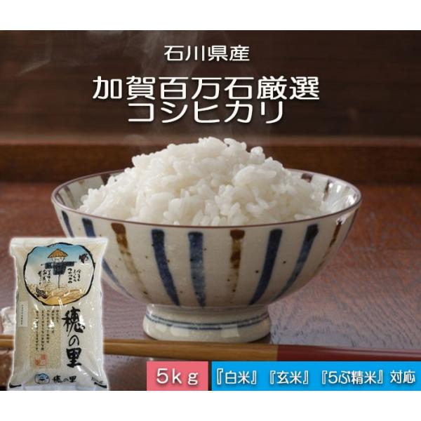 コシヒカリ 令和6年産 新米 お米 5kg 加賀百万石 こしひかり