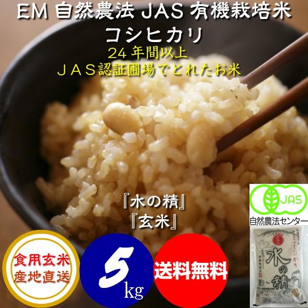 令和5年産 新米 無農薬 有機米 コシヒカリ食用玄米 ５ｋｇ 水の精 JAS