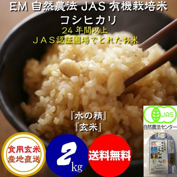 無農薬 玄米の人気商品・通販・価格比較 - 価格.com