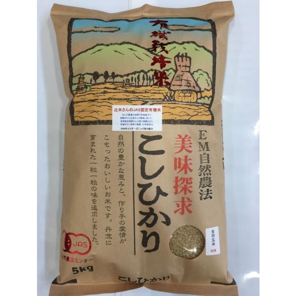無農薬 お米 有機米 食用 玄米 10kg（5kg×2個） コシヒカリ 自然農法 令和7年産 石川県産 辻本さんの有機栽培米