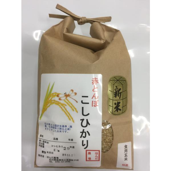 令和7年産 加賀百万石 こしひかり エコ栽培米 石川県産 赤とんぼ  食用 玄米 2kg