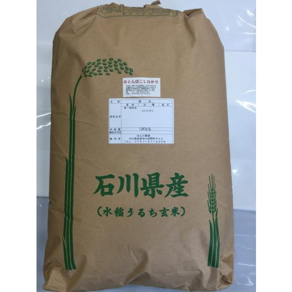 ߘa7NY V GR͔| ԂƂڂЂ5Â 20kg  S ΐ쌧Y SSŔ