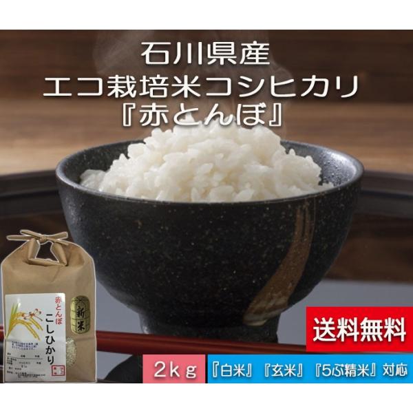 令和7年産 白米 2kg  石川県産 新米  赤とんぼ  こしひかり エコ栽培米  送料無料