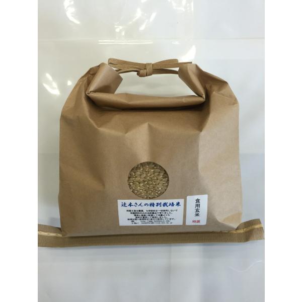 ߘa7NY V ΐ쌧Y Җ{̓ʍ͔| RVqJ Hp  2kg