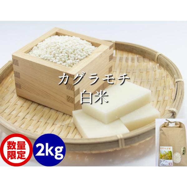 令和7年産 カグラモチ 白米 2kg
